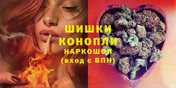 мяу мяу мука Елабуга