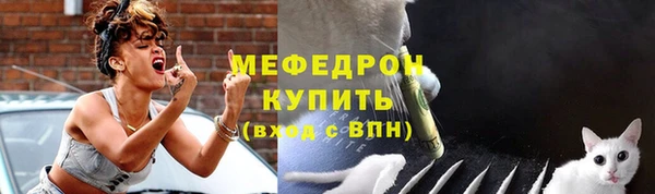 гашик Инта