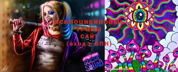 мяу мяу мука Елабуга