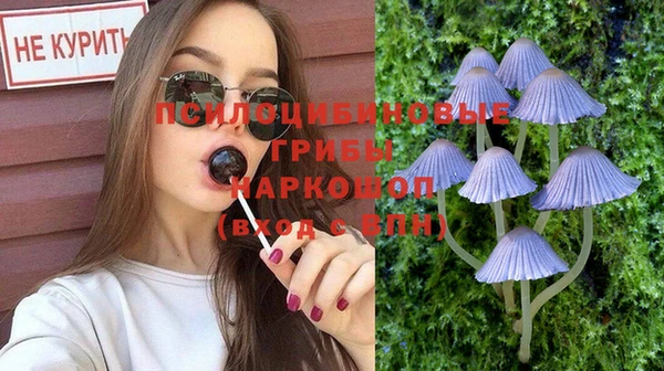 гашик Инта