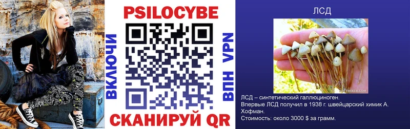 blacksprut зеркало  продажа наркотиков  Гремячинск  Псилоцибиновые грибы мицелий 